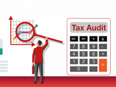 Tax Audits
