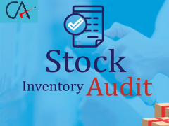 Stock Audits	